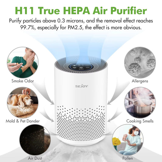 “Breathe Beautifully” – 360° True HEPA Air Purifier with Aromatherapy & Ionizer